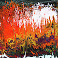 Color Storm