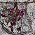 Circuitry